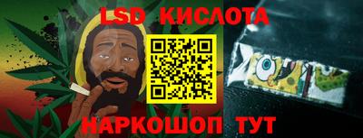 СК Обь