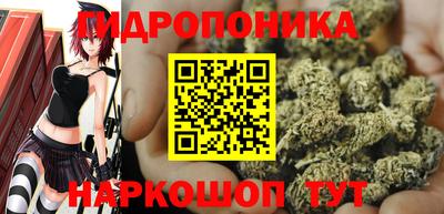 амф Обнинск