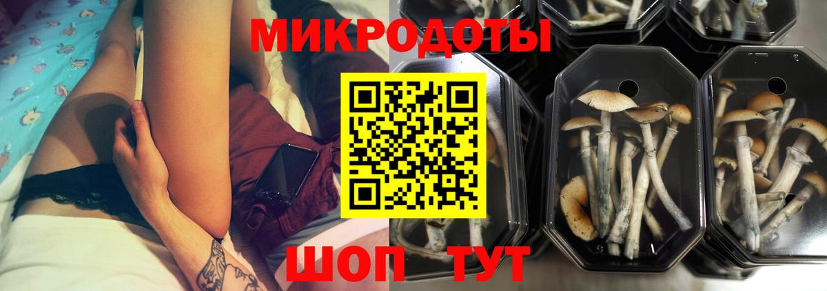 Псилоцибиновые грибы мицелий Тимашёвск